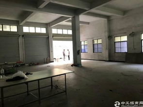 大朗鎮(zhèn)新出獨(dú)棟可做毛織行業(yè)廠房便宜出租