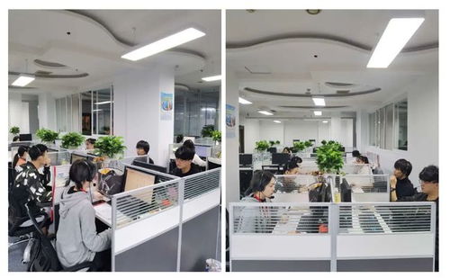 成都市成華區第七次全國人口普查咨詢熱線正式開通，為您提供便捷信息咨詢服務